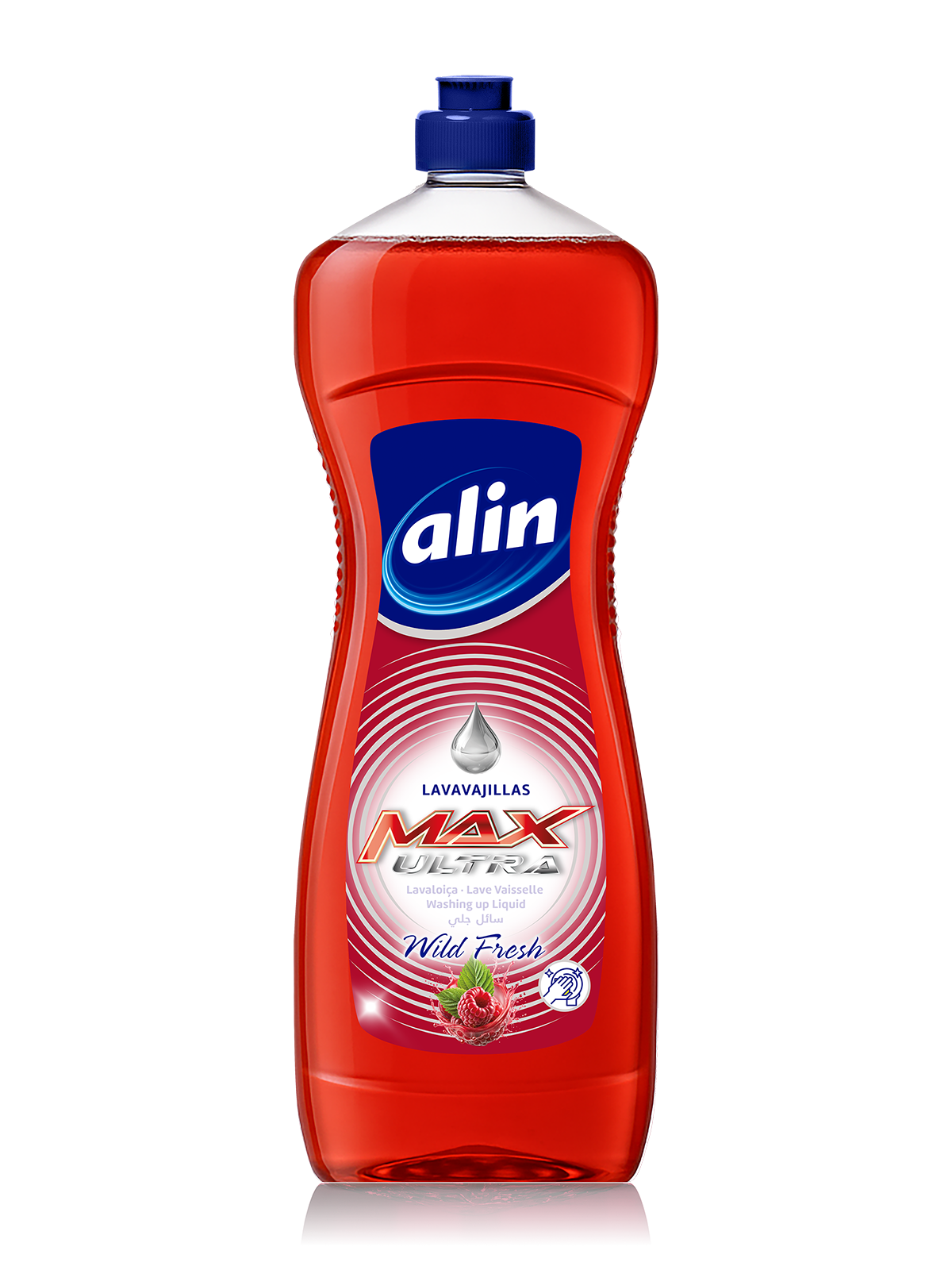 Lavavajillas · Detergente Loica · Liquide Vaisselle · Washig Up Liquid